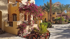 gypten Marsa Alam
