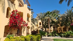 gypten Marsa Alam
