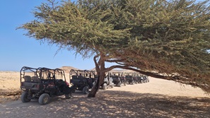 gypten Marsa Alam