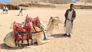 gypten Marsa Alam