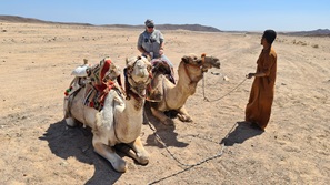 gypten Marsa Alam