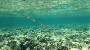 gypten Marsa Alam