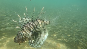 gypten Marsa Alam