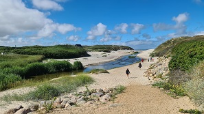 Henne Strand