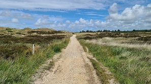 Henne Strand