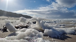 Sylt