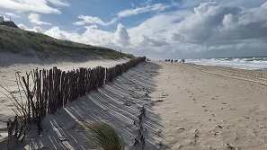 Sylt