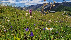 Oberstdorf