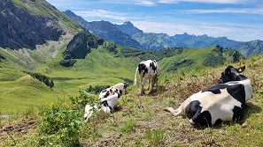 Oberstdorf