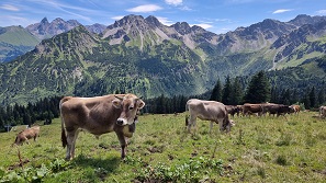 Oberstdorf