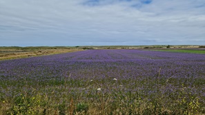 Bretagne