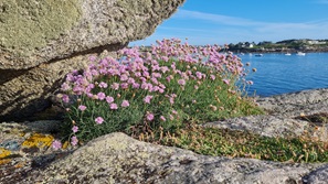 Bretagne