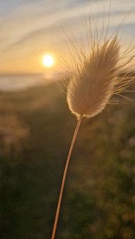 Bretagne