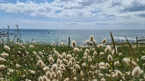 Bretagne