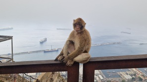 Gibraltar