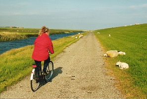 Ameland