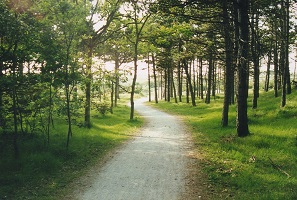 Ameland