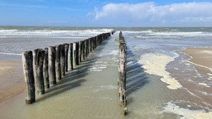 Cadzandt