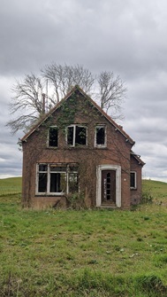 Cadzandt