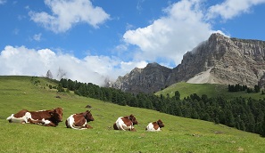 Sankt Ulrich