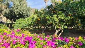 Malta