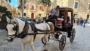 Malta