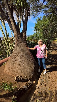 Madeira