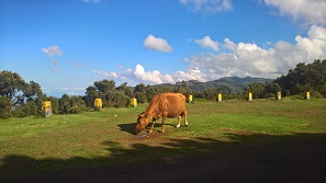 Madeira