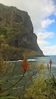 Madeira