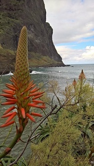 Madeira