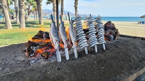 Torrox Costa