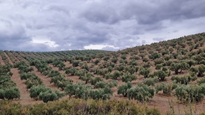 Nerja