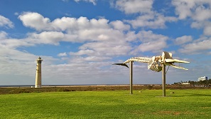 Fuerteventura