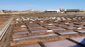 Fuerteventura