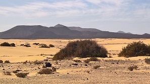 Fuerteventura