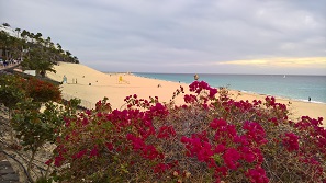 Fuerteventura