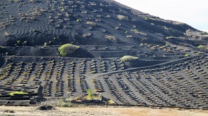 Lanzarote