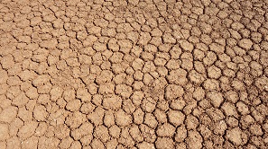 Boa Vista