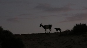 Boa Vista