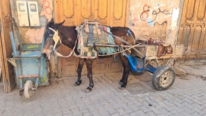 Marrakesch
