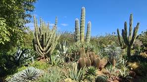 Marrakesch