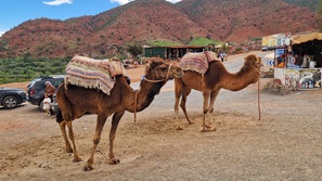 Marrakesch