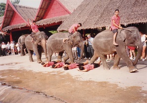 Bangkok