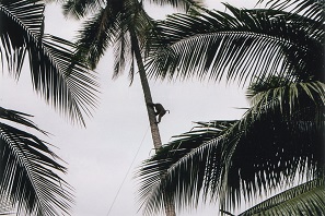 Koh Samui