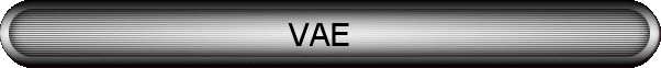 VAE