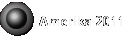 Amerika 2011