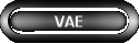 VAE